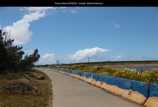 Fiesta Island (5/5/2023 - Credits: Sabrina Moreno)