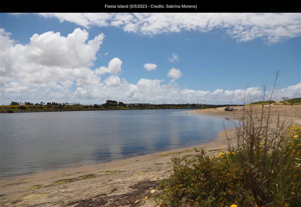 Fiesta Island (5/5/2023 - Credits: Sabrina Moreno)