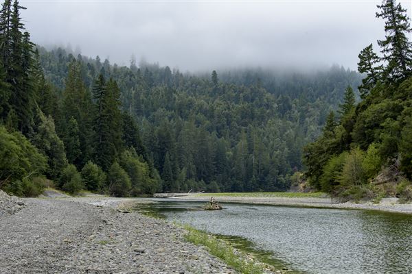 Benbow State Recreation Area (SRA) (8/22/2017 - Credits: Brian Baer)