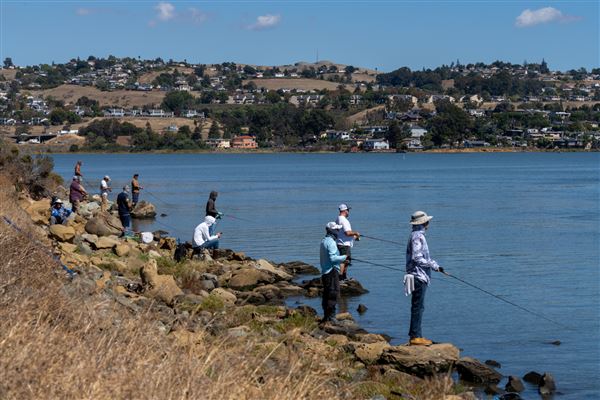 Benicia State Recreation Area (SRA) (9/22/2022 - Credits: Brian Baer)