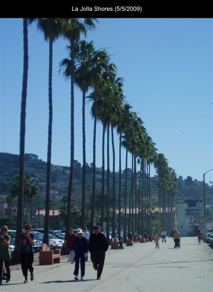 La Jolla Shores (5/5/2009 - Credits: San Diego Film Commision)