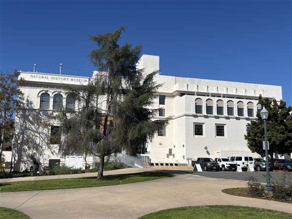 Balboa Park (3/8/2025 - Credits: Brandy Davis)
