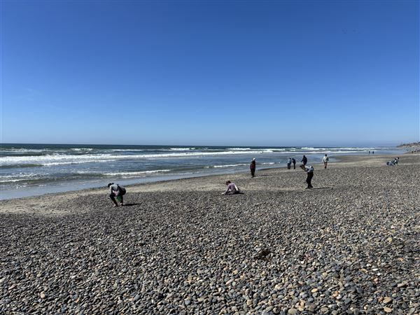 Torrey Pines State Beach (SB) (3/8/2025 - Credits: Brandy Davis)