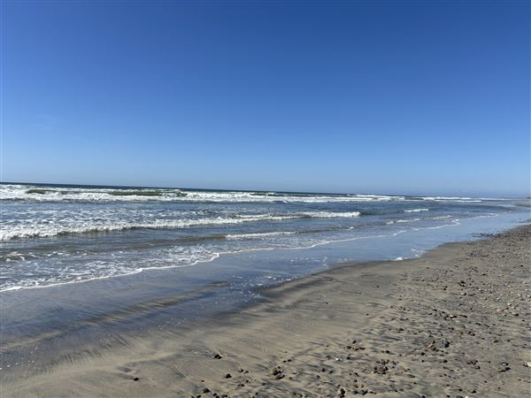 Torrey Pines State Beach (SB) (3/8/2025 - Credits: Brandy Davis)