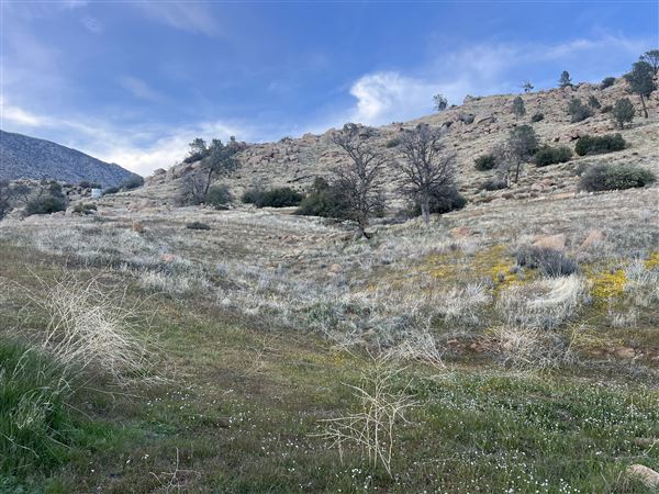 Kern River Valley Desert Mountains & Lake View (3/19/2025 - Credits: Alaska Gieseler)