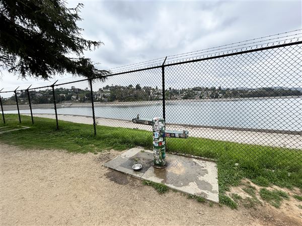 Silver Lake Reservoir (3/27/2025 - Credits: Brandy Davis)