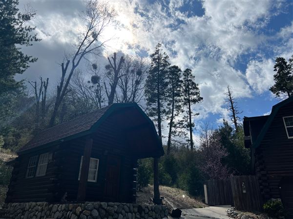 4 Log Cabins and 15 Wooded Acres Near Crestline, CA (4/9/2025 - Credits: Michelle Dowd)