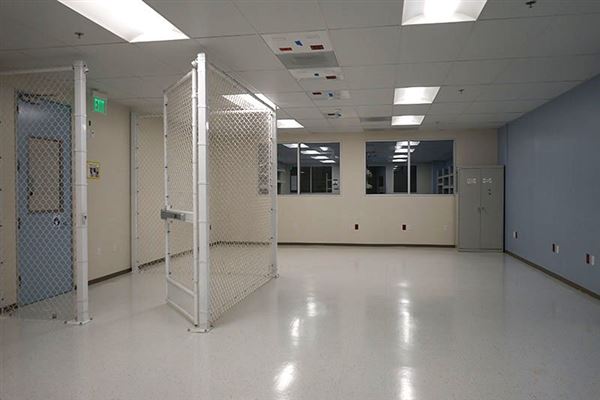 Lemon Labs (12/12/2023 - Credits: David Merabi)