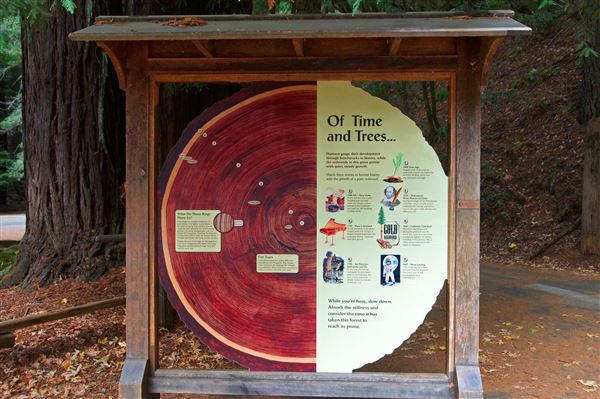 Armstrong Redwoods State Natural Reserve (SNR) (4/17/2025 - Credits: Al Mueller)