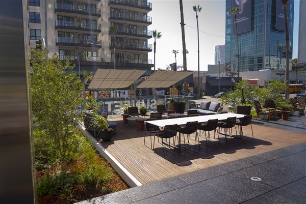 Toastique on Sunset (4/18/2025 - Credits: Zenon Samuels)