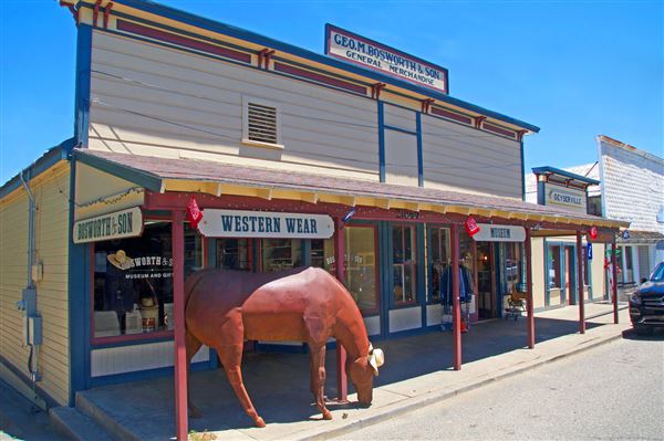Geyserville (4/21/2025 - Credits: Al Mueller)