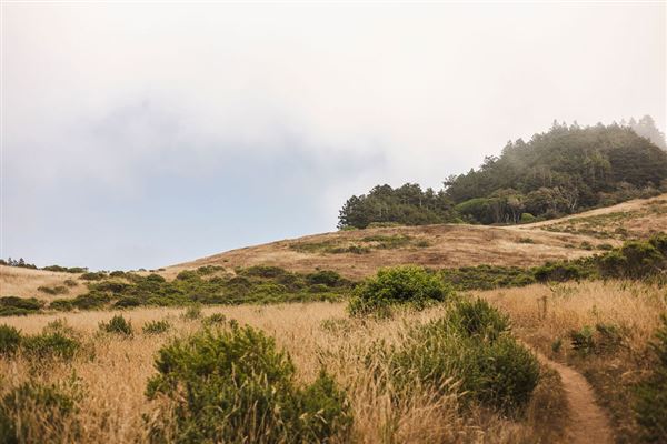 Geyserville (4/21/2025 - Credits: Kelsey Joy Photography)