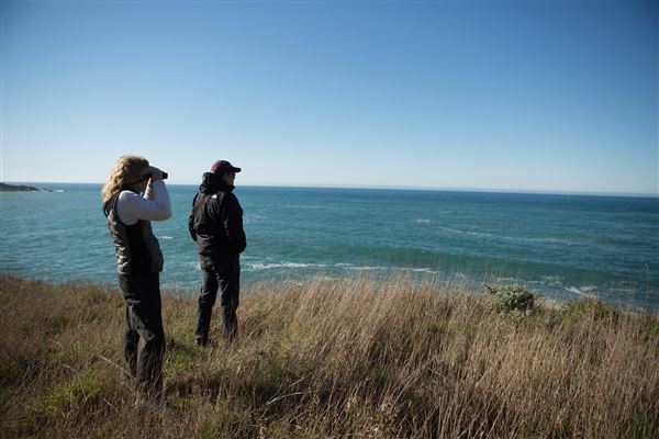 Gualala Point Regional Park (4/21/2025 - Credits: Photo Courtesy of Sonoma County)