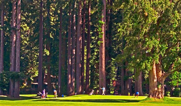 Northwood Golf Club (4/22/2025 - Credits: Al Mueller)