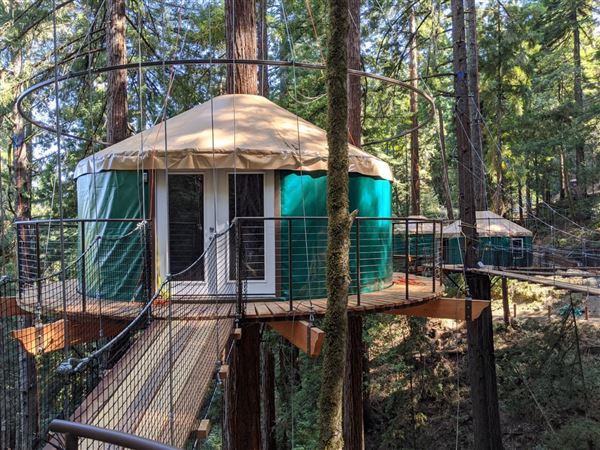 Occidental - Sonoma Canopy Tours - Sonoma Zipline Adventures (4/22/2025 - Credits: Photo Courtesy of Sonoma County)