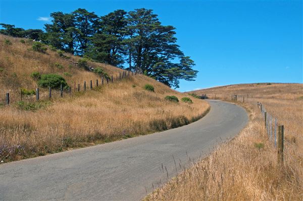 Occidental (4/22/2025 - Credits: Al Mueller)