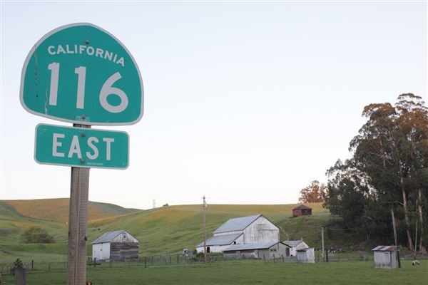 Petaluma (4/22/2025 - Credits: Photo Courtesy of Sonoma County)