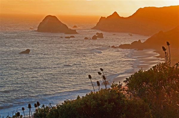 Sonoma Coast State Park (SP) - Fish Head Beach - Sonoma Coast State Park (4/24/2025 - Credits: Al Mueller)