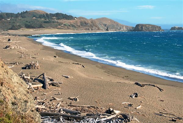 Sonoma Coast State Park (SP) - Jenner Beach - Sonoma Coast State Park (4/24/2025 - Credits: Al Mueller)