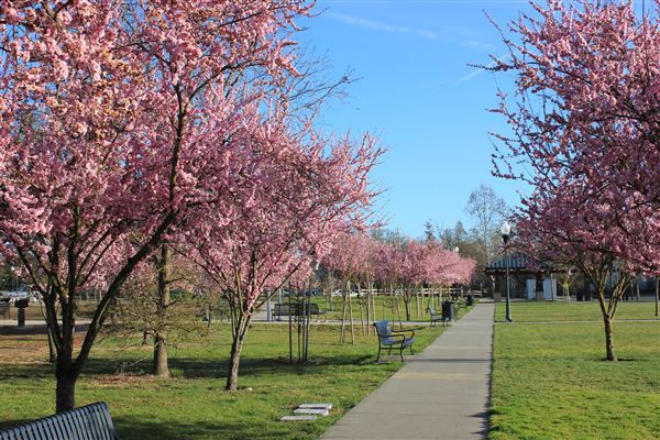 Windsor (4/25/2025 - Credits: Photo Courtesy of Sonoma County)