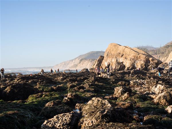 Greyhound Rock County Beach (9/10/2023 - Credits: submitted by: Christina Glynn)