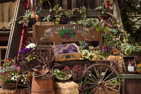 Knott's Berry Farm & Knott's California Marketplace - Boysenberry Festival (5/15/2025 - Credits: Six Flags Entertainment Corporation)