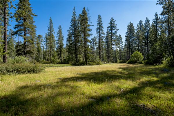 Ward Creek Park Property (7/17/2018 - Credits: Brian Baer)