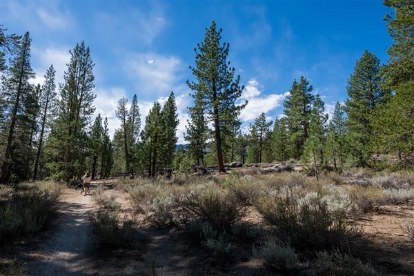 Washoe Meadows State Park (SP) (10/4/2024 - Credits: Brian Baer)
