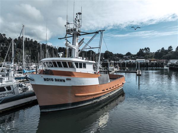 Noyo Harbor District (6/13/2025 - Credits: Photo Courtesy of Noyo Harbor District)