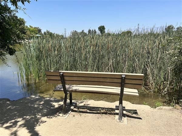 Whittier Narrows Recreation Area / LA County Parks - US Army Corps of Engineers - Legg Lake (6/17/2025 - Credits: Brandy Davis)