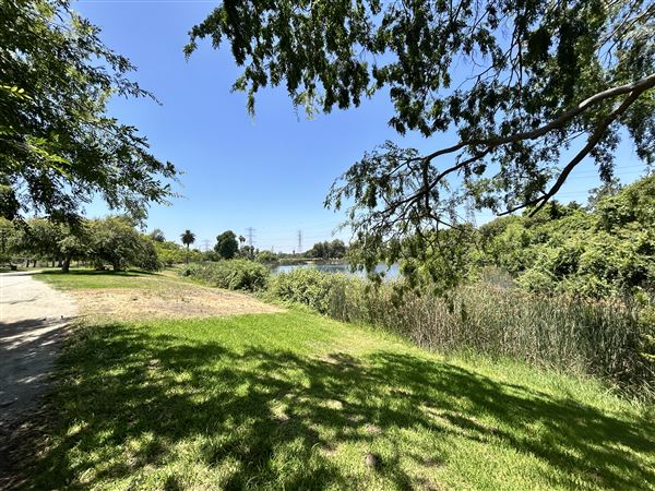 Whittier Narrows Recreation Area / LA County Parks - US Army Corps of Engineers - Legg Lake (6/17/2025 - Credits: Brandy Davis)