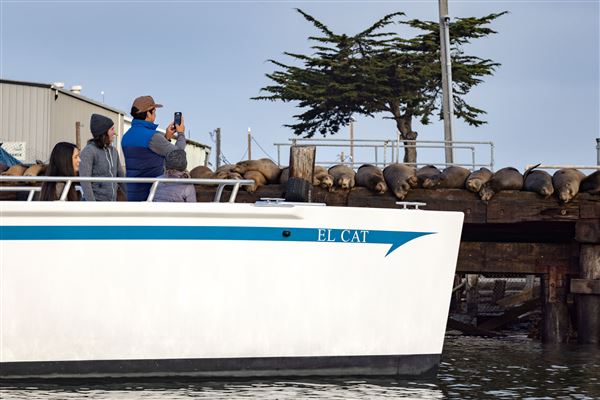 Moss Landing (4/27/2022 - Credits: SeeMonterey.com)