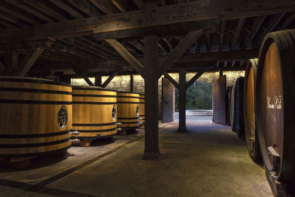 Buena Vista Winery (6/30/2025 - Credits: Photo Courtesy of Sonoma County)