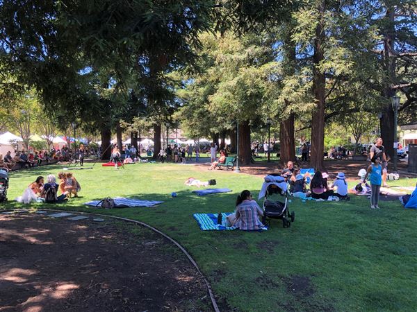 Los Gatos - Town Plaza Park (7/8/2025 - Credits: Town of Los Gatos)