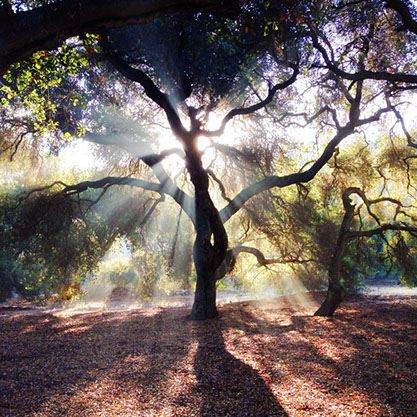 Chumash Indian Museum (1/21/2024 - Credits: Chumash Indian Museum)