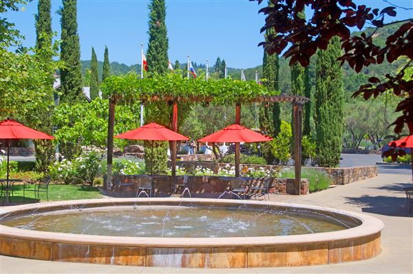 Sebastiani Winery (7/11/2025 - Credits: Al Mueller)