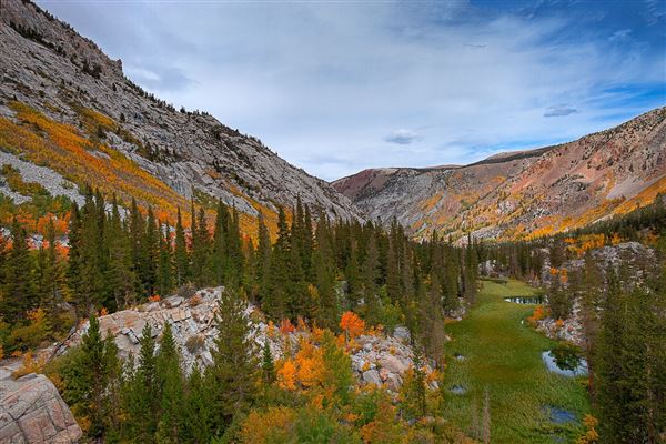 Bishop - Bishop Creek (7/25/2025 - Credits: Visit USA Parks)