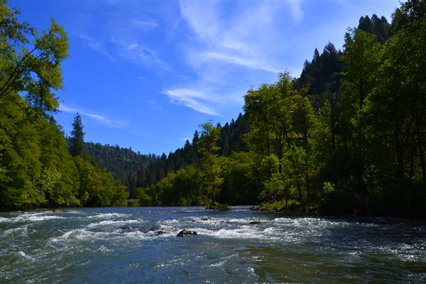Trinity River (7/28/2025 - Credits: U.S. Bureau of Reclamation)