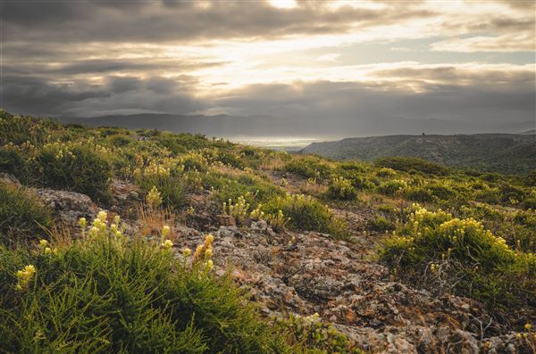 Fort Ord National Monument (6/16/2023 - Credits: Jesse Pluim, BLM, Public Domain)
