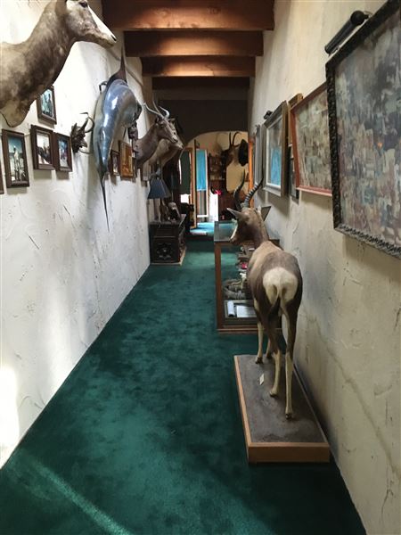 Skyotee Ranch (8/1/2025 - Credits: submitted by: JULES MARCOGLIESE)