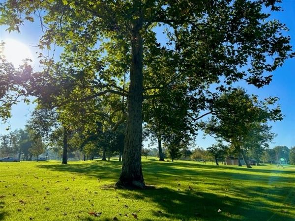 William R. Mason Regional Park (8/13/2025 - Credits: Courtesy of OC Parks)