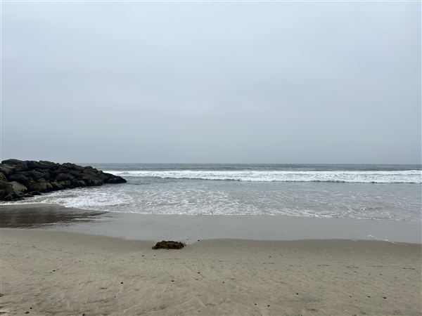 Venice Beach, Boardwalk, Pier & Recreation Center (8/14/2025 - Credits: Brandy Davis)