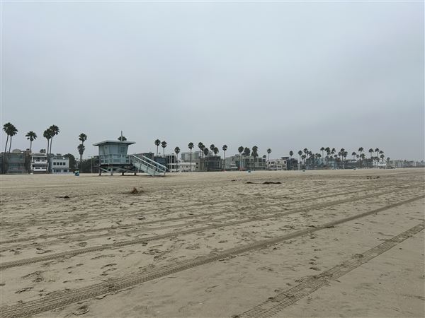 Venice Beach, Boardwalk, Pier & Recreation Center (8/14/2025 - Credits: Brandy Davis)
