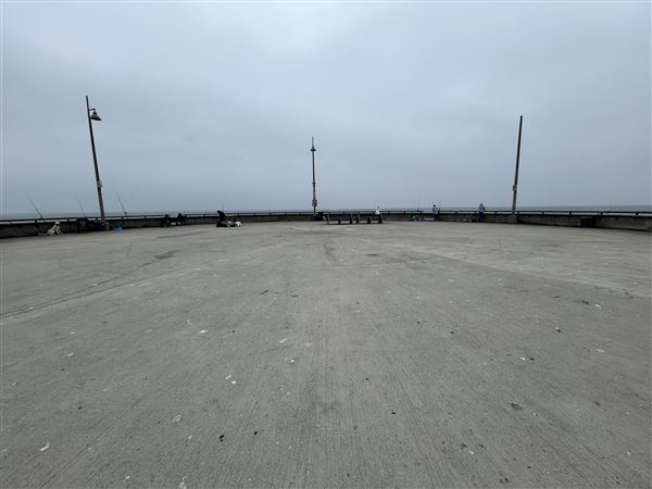 Venice Beach, Boardwalk, Pier & Recreation Center (8/14/2025 - Credits: Brandy Davis)
