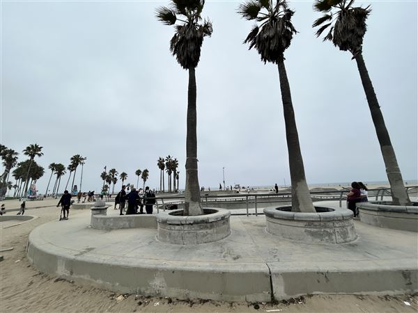 Venice Beach, Boardwalk, Pier & Recreation Center (8/14/2025 - Credits: Brandy Davis)