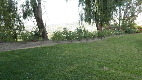 Pacific Palms Resort - Wedding Lawn (10/12/2018 - Credits: Leo Fialho)