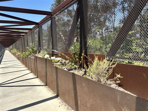 Mark Ridley Thomas Bridge located Kenneth Hahn State Recreational Area (SRA) (6/16/2025 - Credits: Brandy Davis)