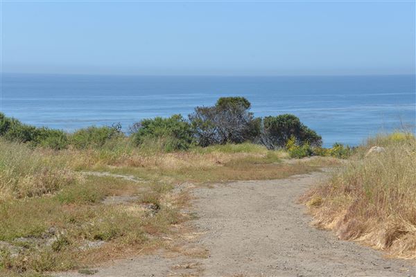 El Pescador State Beach @ Robert H. Meyer Memorial State Beach (SB) - CFC (4/17/2019 - Credits: Leo Fialho)
