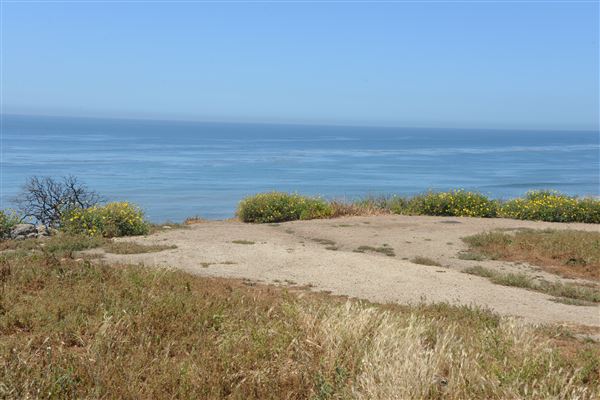 El Pescador State Beach @ Robert H. Meyer Memorial State Beach (SB) - CFC (4/17/2019 - Credits: Leo Fialho)