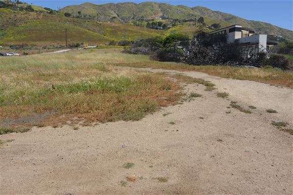 El Pescador State Beach @ Robert H. Meyer Memorial State Beach (SB) - CFC (4/17/2019 - Credits: Leo Fialho)